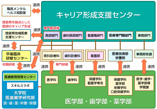 卒前・卒後教育の連携